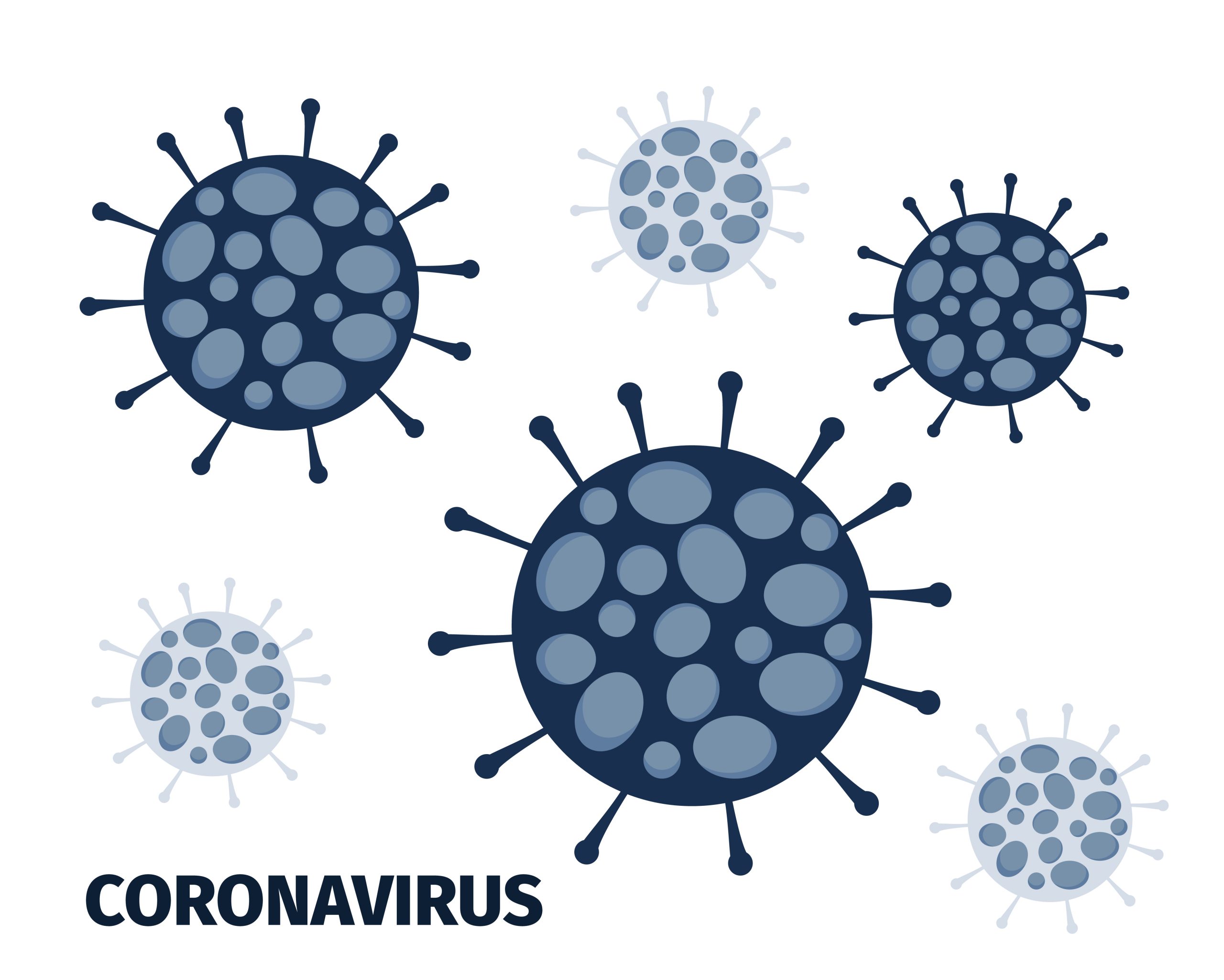 australia vaccino coronavirus furetti