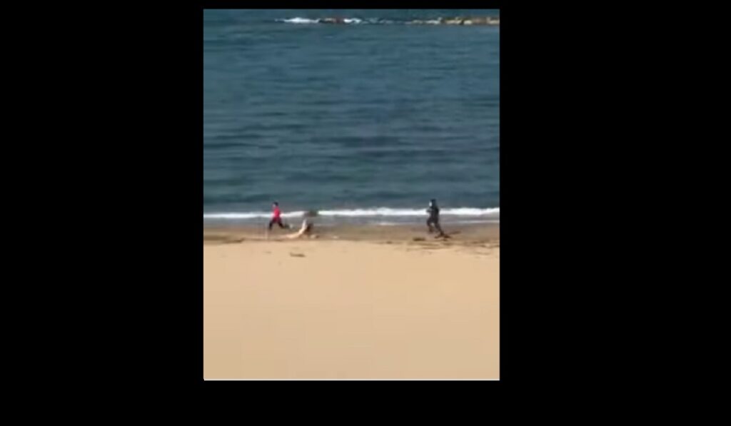 Guardia di finanza insegue runner sulla spiaggia al tempo del coronavirus